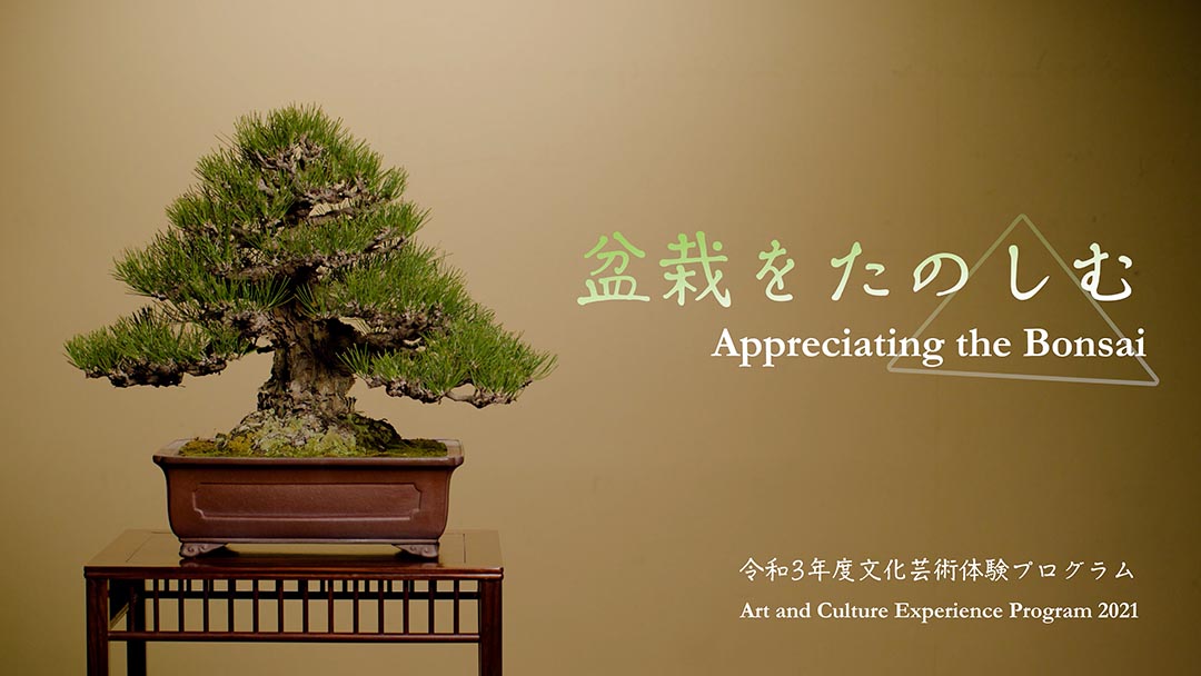 盆栽をたのしむ　Appreciating the Bonsai