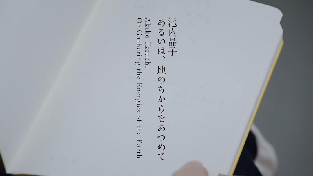 府中市美術館「池内晶子　あるいは、地のちからをあつめて」