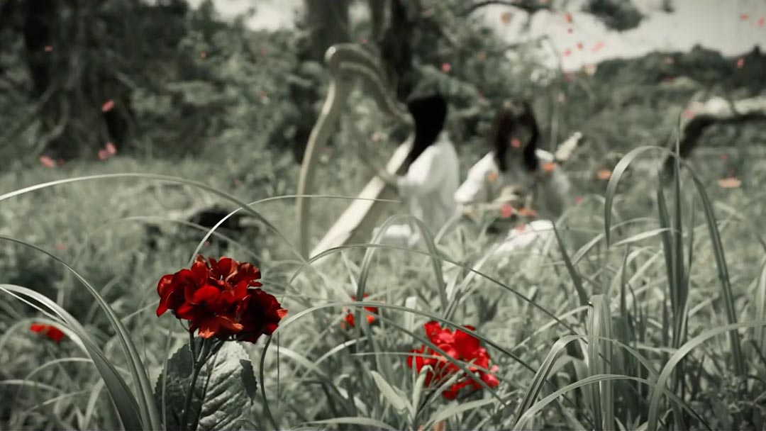 イザベラの唄《約束のネバーランド》mandolin×harp cover